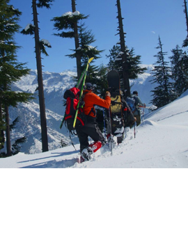  Hotel Surya Internationa Manali